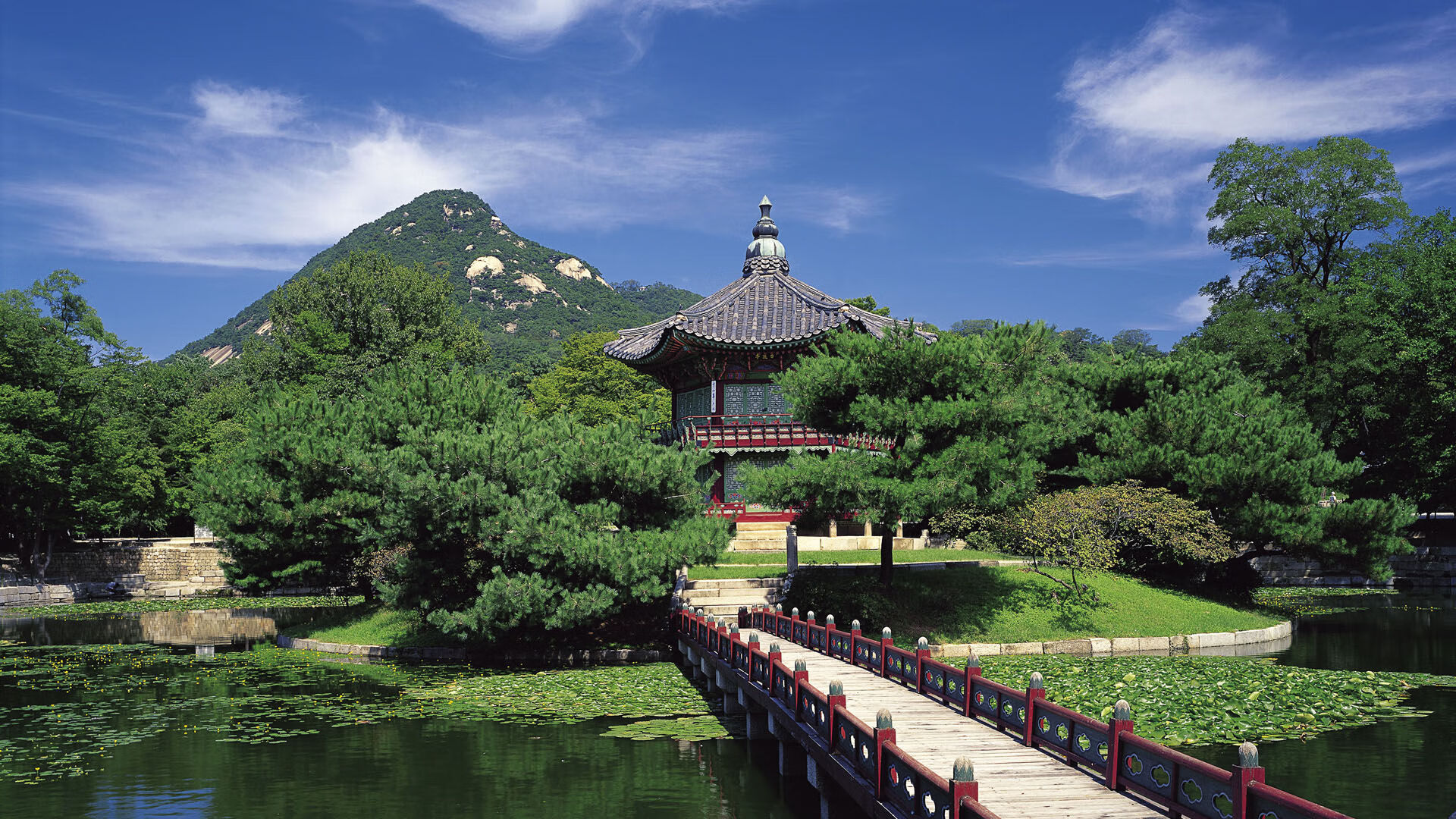 世界保龄球城市夜战回顾:主题活动带动年轻客群回流,世界保龄球大师赛视频