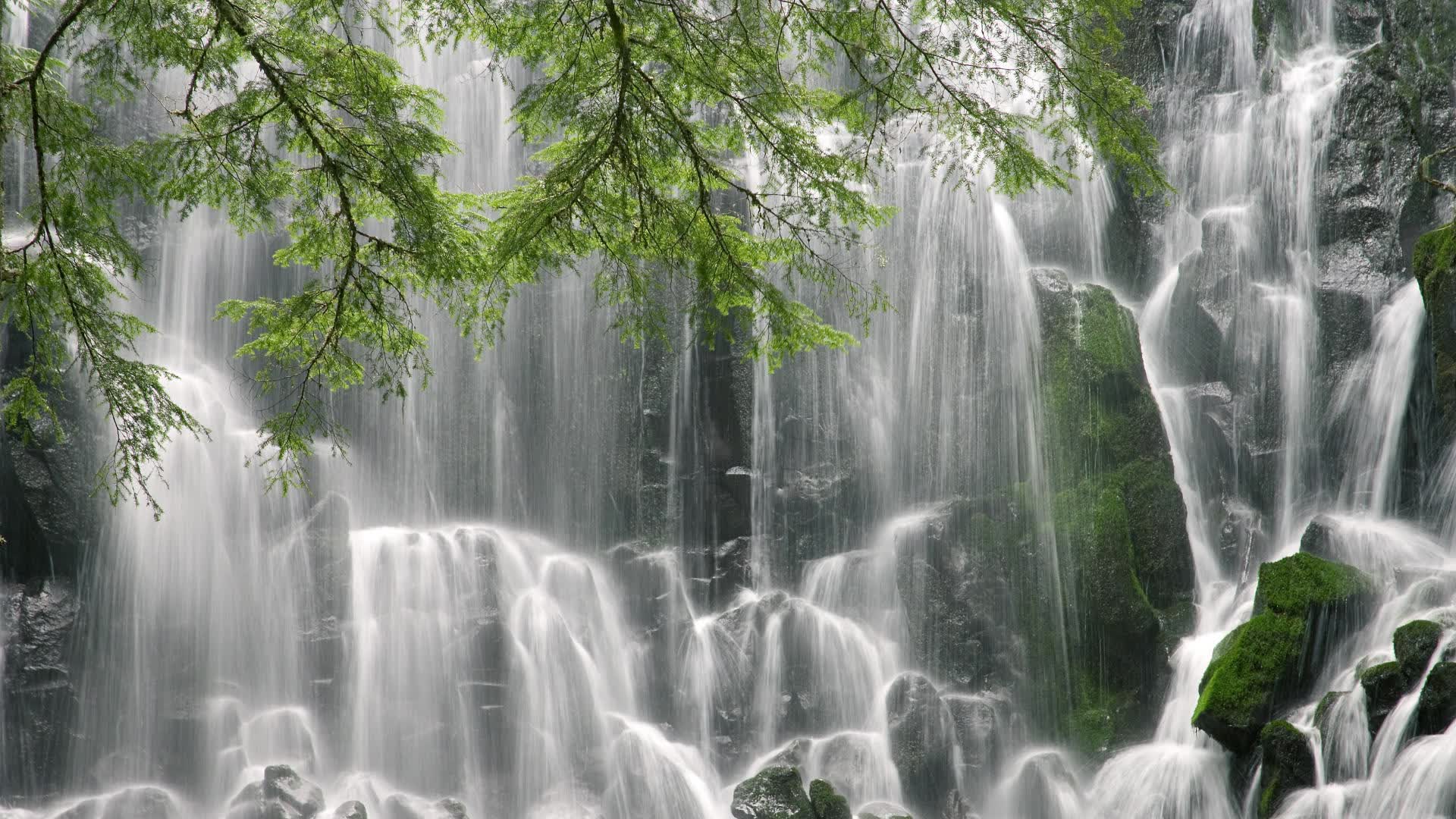 世界保龄球线上青训计划:中国选手在平台表现优异,保龄球世界锦标赛